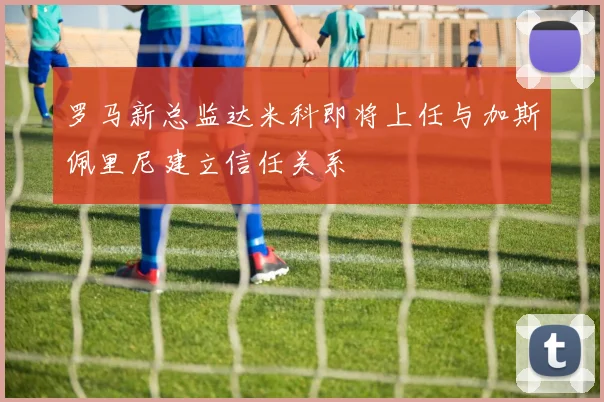 罗马新总监达米科即将上任与加斯佩里尼建立信任关系