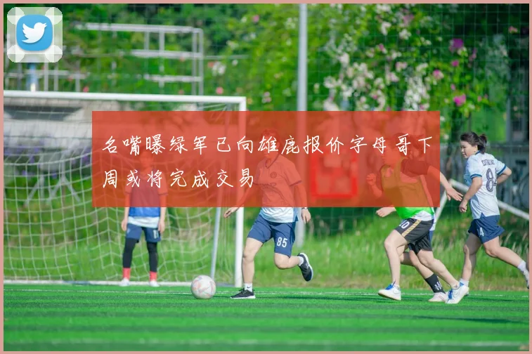 名嘴曝绿军已向雄鹿报价字母哥下周或将完成交易